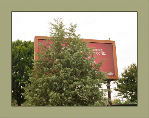olympus billboard zuiko e5 zd 1454mm easternredcedar treeparts projecct364168