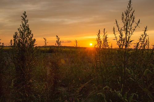 Couché de soleil by Loïc C-F, Sunset St-Bruno, Qcsunset stbruno saguenay lacsaintjean