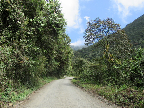 Vía Heliconia - San Antonio de Prado, Antioquia: by DAIRO CORREA, dairo correa gutiérrez dairocorrea antioquia colombia américa latina suramérica viaggio latinoaméric