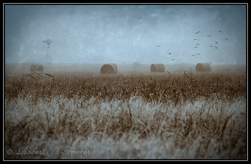 The field 2 | by CamMan (robert)