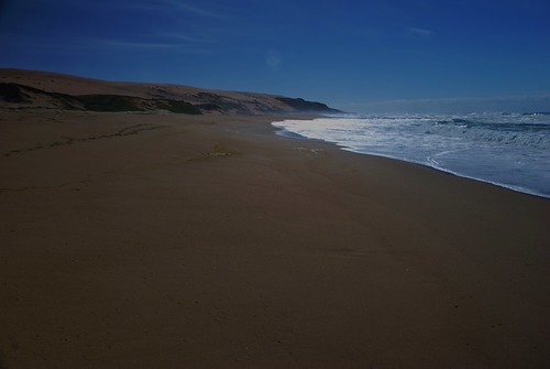 Guadalupe-Nipomo Dunes 011 | by Sandauph