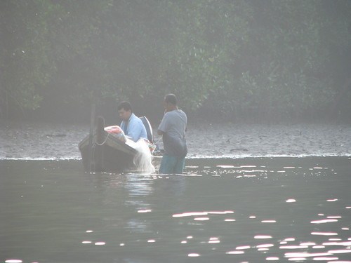 Fishing Catch | by silvershutterbug2