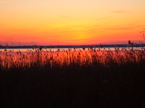 Dümmersee, Sonnenuntergang by j.schueler1, sonnenuntergang dümmersee