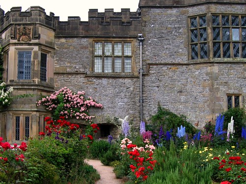 Roses and Delphiniums at Haddon Hall by UGArdener