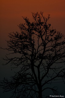 Sunset at Dhikala