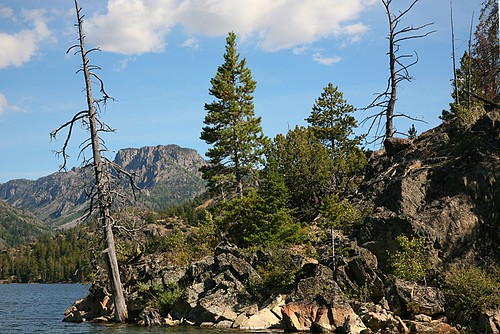 mountain lake tree water pine