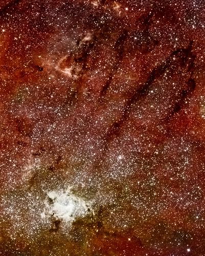 Celestial Jackrabbit | by Meng Bomin