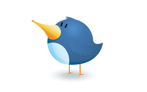 Twitter bird logo icon illustration | Download a transparent… | Flickr