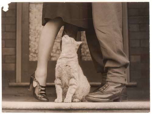 Soldier's goodbye & Bobbie the cat, Sydney, ca. 1939-ca. 1945 / by Sam Hood