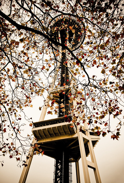 Autumn at the Space Needle