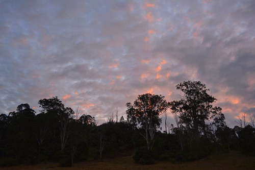 sunset sky woodland landscape darkness dusk horizon australia nsw hillside australianlandscape sunsetclouds lastlight altocumulus grasstrees northernrivers richmondvalley