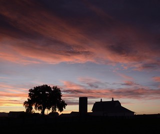 Sunset Silhouette Over the Colorado Plains - Weld County, Colorado