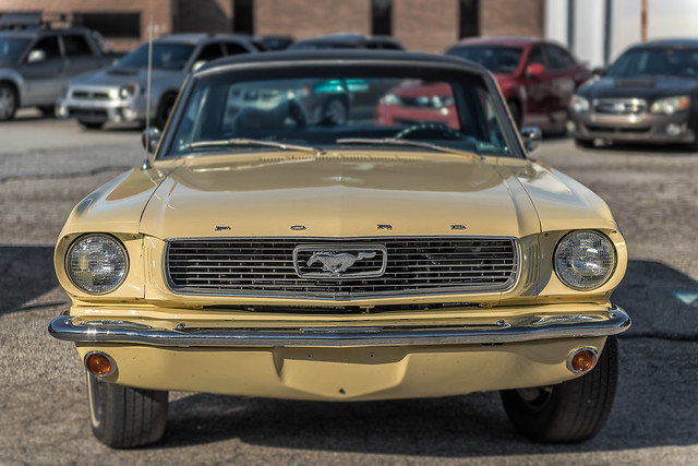 Ford Mustang (Cars & Coffee of Hendersonville)