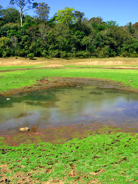 Periyar Wildlife Reserve, Kerala, India