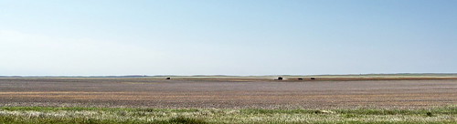 standrews panorama farm harvest thresher 2009 blue colour color agriculture saskatchewan sk canada field decade2000 prairies canadagood