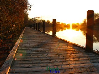 Thames River Sunset 1