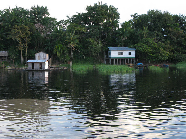 Amazon houses