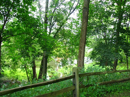 Schuylerville Towpath | by glittergirrll