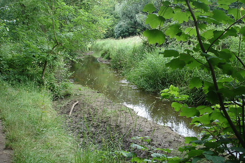 Forge Valley, near Scarborough | by superhoopoes