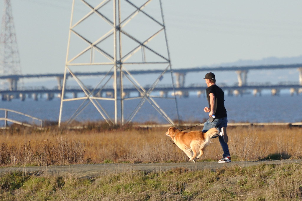 Running with his dog at Palo Alto Baylands