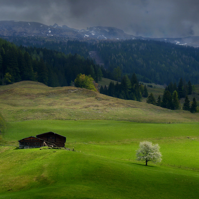 A touch of light on the green field in upper Austria