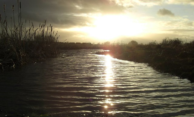 Sundown on Doxey Marshes