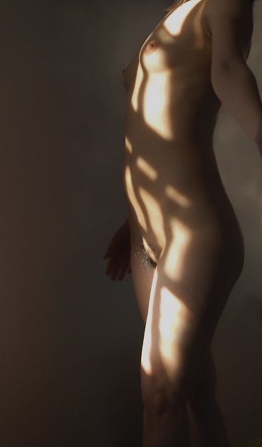 nude in sunlight (2006)