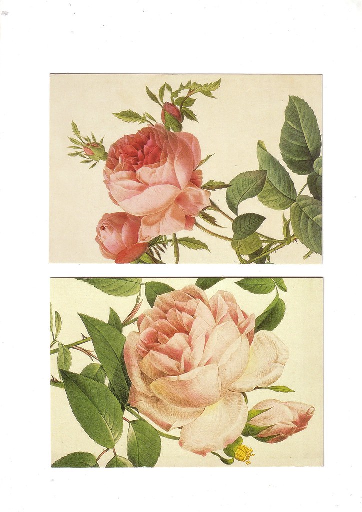 roses | collage image | Papermoon | Flickr