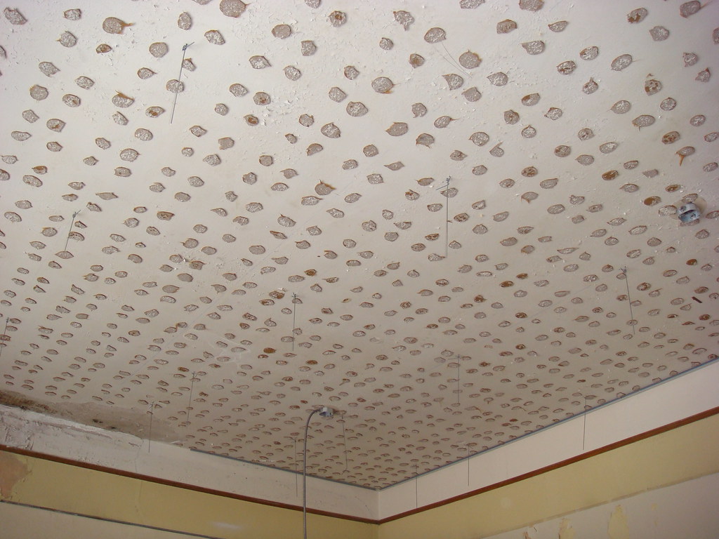 Ceiling Tile Asbestos Adhesive With A Suspended 2 X4 Ceil