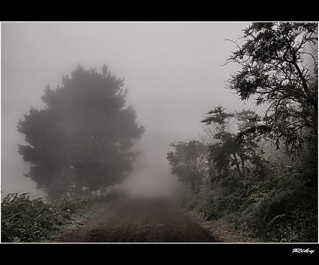 Entre la Niebla II - Into the Fog II