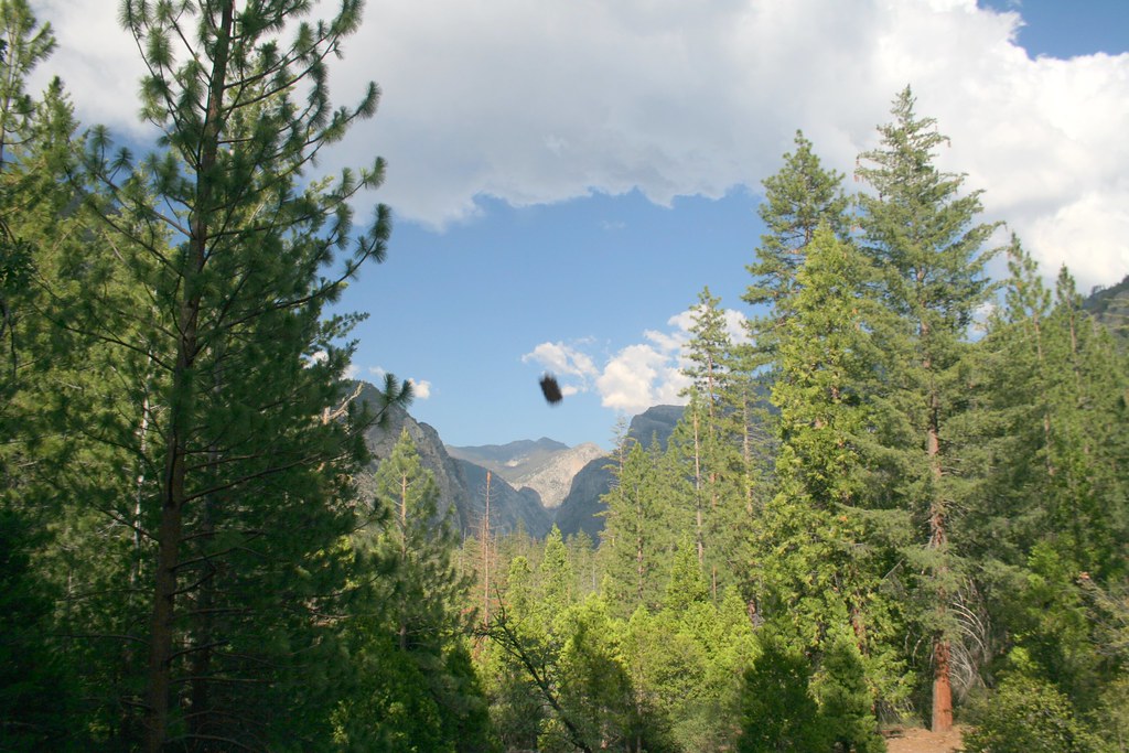 Lightning Creek