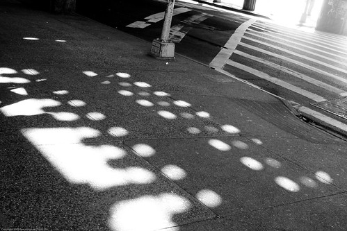 Dots + Lines / 20090919.SD850IS.2958 / SML | by See-ming Lee (SML)