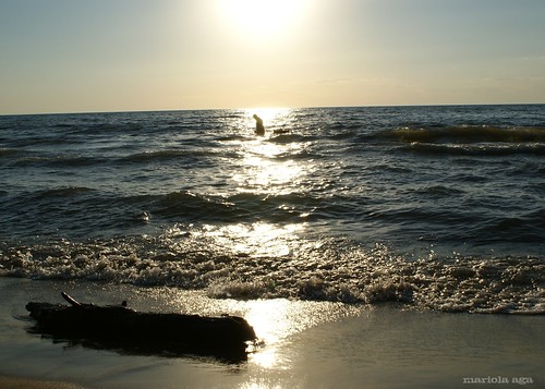 light sunset summer sky sun lake man beach water silhouette backlight michigan lakemichigan driftwood thegalaxy