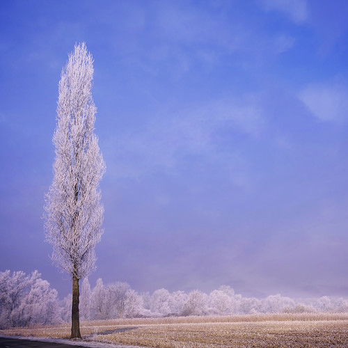 All In One by Philippe Sainte-Laudy