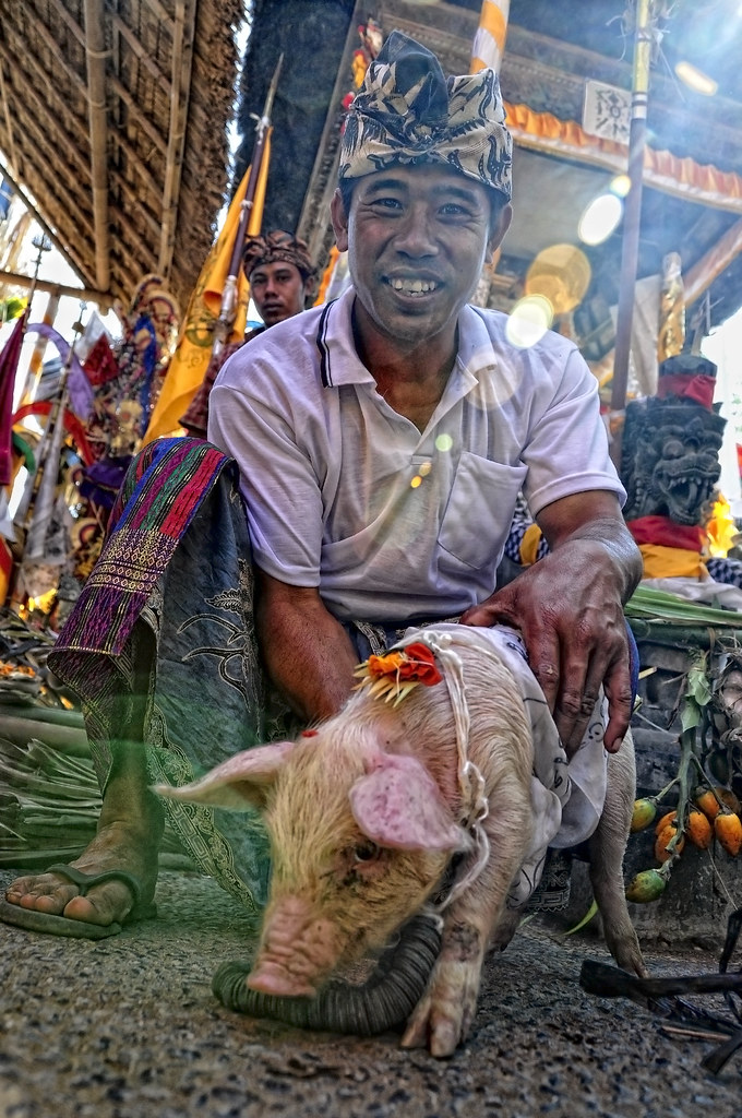 Ubud, Bali - Offering to god by Mio Cade