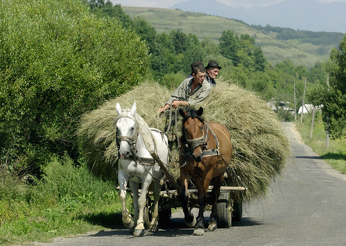 El vehicle usual a Maramures / Maramures usual transport by SBA73