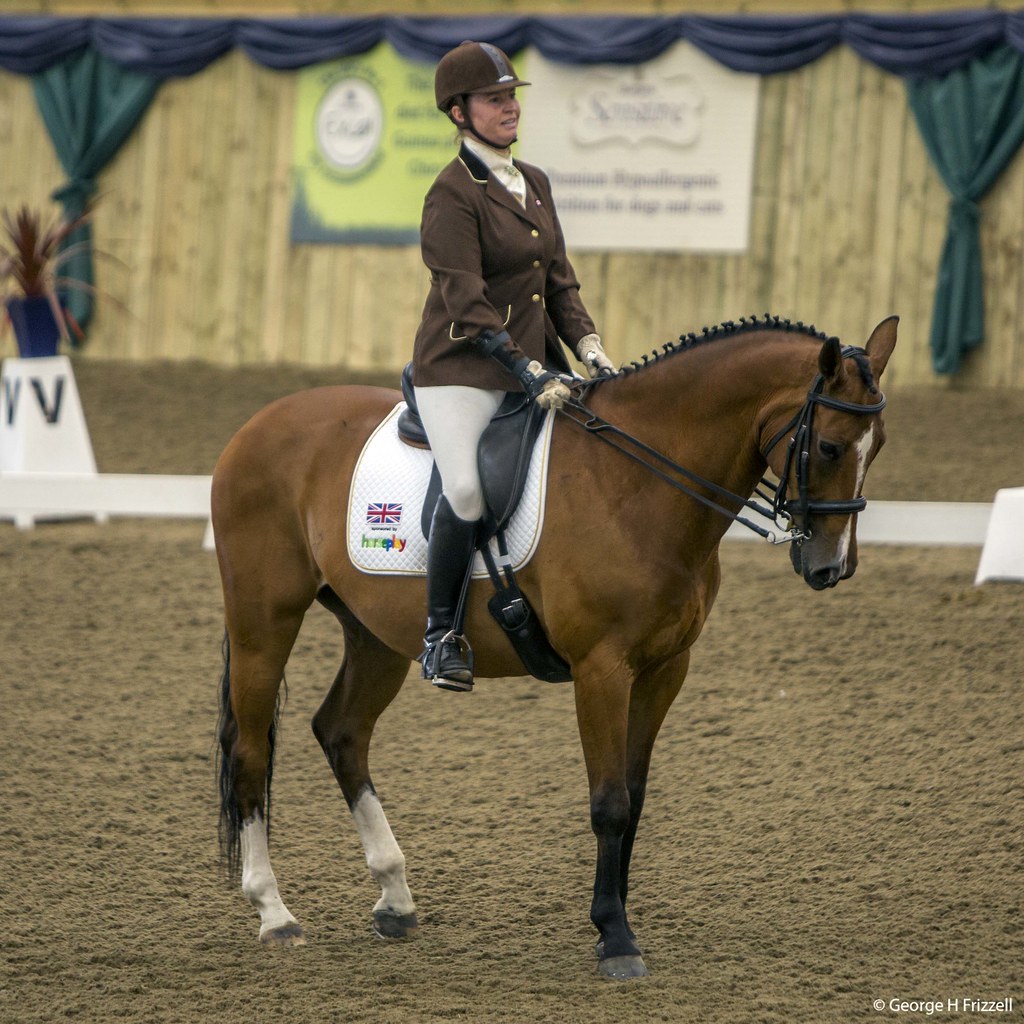 Julie Ridden Week 32 of 52 | My wife Julie riding and competing for GB at… | Flickr