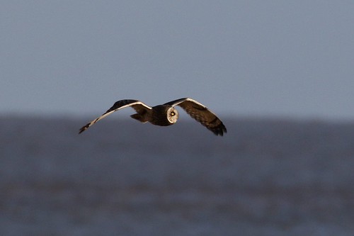SEO | by richardstacey496