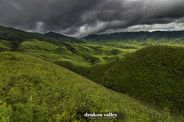 Dzukou Valley-The garden of Eden