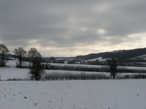 Hedges against snow Saunderton via West Wycombe (short Walk)