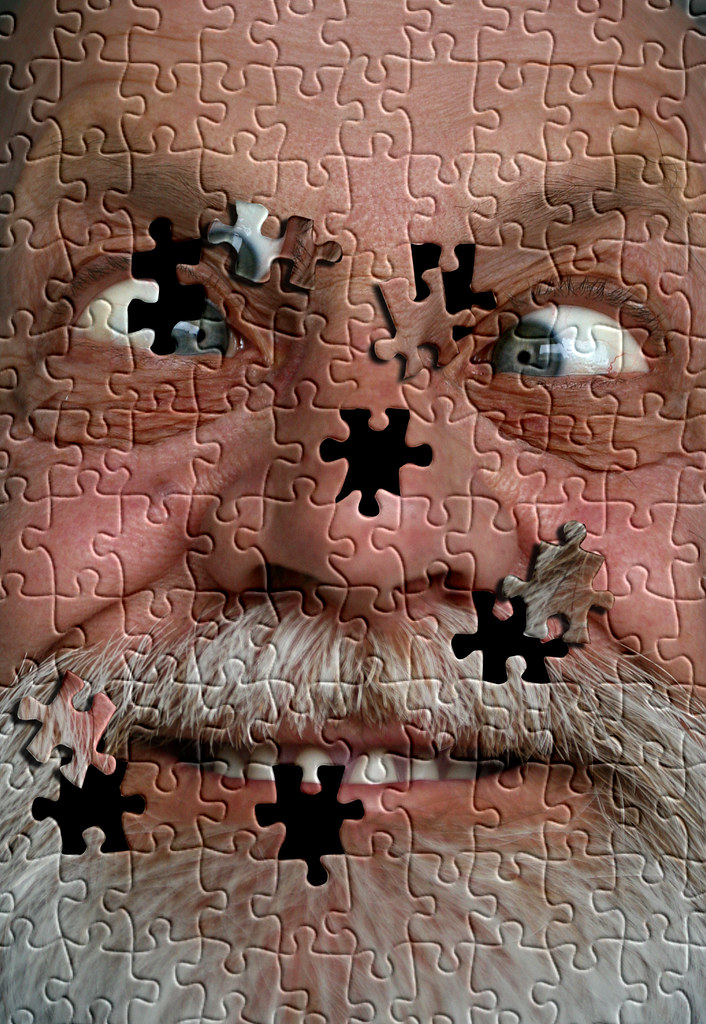 Day337 yr2 Jigsaw puzzle