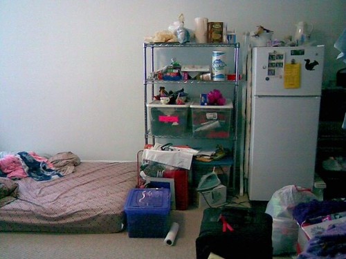 De-Crap 10/3/09 Pic 3 - Now The Bed is Next to The Opposite Wall | by ladyjanewriter