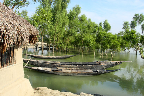 IMG_5409 Sundarbans | Sundarbans, a UNESCO World Heritage Si… | Flickr