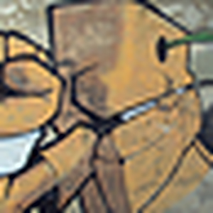 Flickr profile picture for @rioting