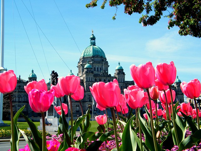 Spring hits Victoria