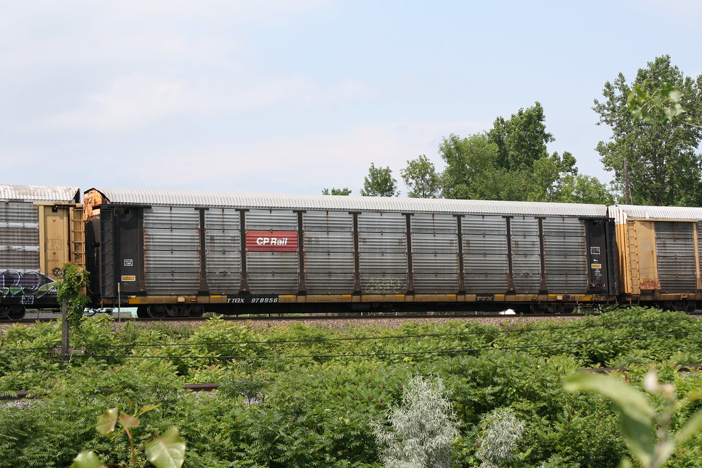 TTGX 978956 | Dan | Flickr