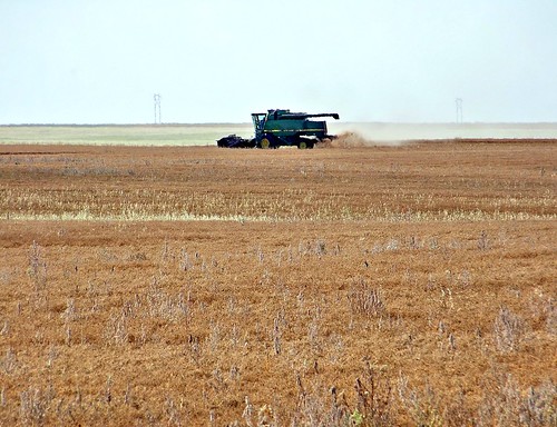 standrews farm harvest thresher 2009 blue colour color agriculture saskatchewan sk canada field decade2000 prairies canadagood