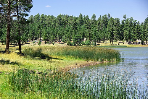 camping camp arizona horse white lake fishing williams hiking az hike nationalforest backpacking campground kaibab kaibabnationalforest whitehorselake アリゾナ州 azhike alhikesaz williamsrangerdistrict gamemanagementunit8