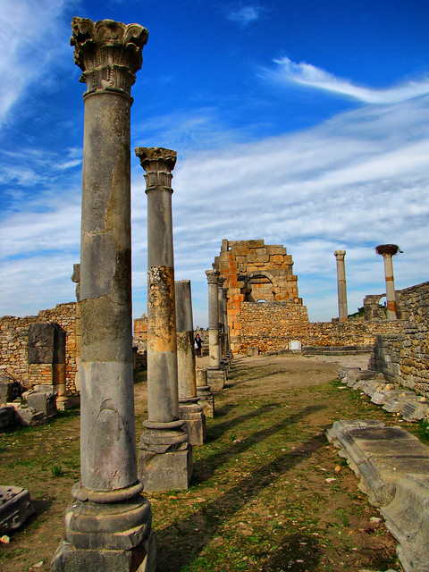 Volubilis-Roman Ruins-Morocco-Africa