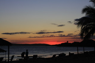 Copa Marina Sunset